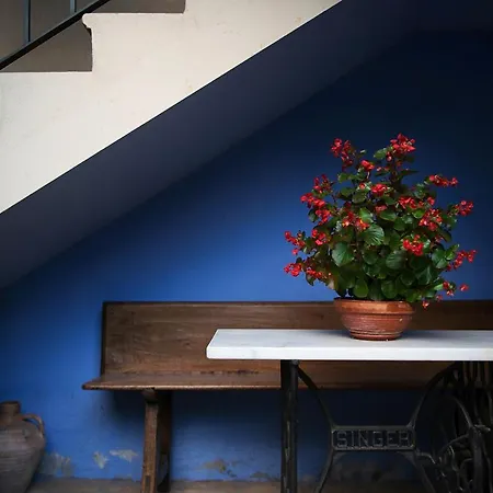 Casa Vidal *